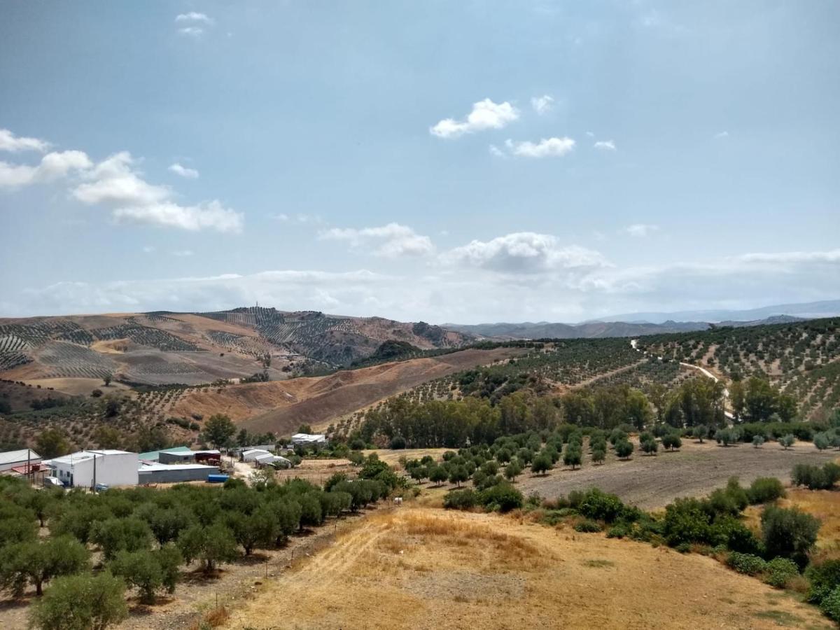 Apartamento Completo En Sierra Sur Villanueva de San Juan Eksteriør bilde
